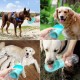 Dog Water Bottle for On the Go 350 ml Pet Water Bottle Pet Drinking Bowl Antibacterial Portable Travel Water Bottle Water Dispenser Ideal for on the Go Outdoors Blue Dog Water Bottle for On the Go 350 ml Pet Water Bottle Pet Drinking Bowl Antibacterial Portable Travel Water Bottle Water Dispenser Ideal for on the Go Outdoors Blue