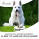 Dog Water Fountain for Outdoor Dog Pet Water Sprinkler Easy Activated Dog Water Fountain Toy Dog Water Fountain for Outdoor Dog Pet Water Sprinkler Easy Activated Dog Water Fountain Toy