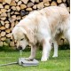 Dog Water Fountain for Outdoor Dog Pet Water Sprinkler Easy Activated Dog Water Fountain Toy Dog Water Fountain for Outdoor Dog Pet Water Sprinkler Easy Activated Dog Water Fountain Toy