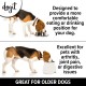 Dogit 2-in-1 Elevated Dish/ Bowl, 900 ml Capacity, Black Dogit 2-in-1 Elevated Dish/ Bowl, 900 ml Capacity, Black