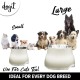 Dogit 2-in-1 Elevated Dish/ Bowl, 900 ml Capacity, Black Dogit 2-in-1 Elevated Dish/ Bowl, 900 ml Capacity, Black