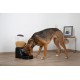 EYENIMAL Electronic Pet Feeder Dry Food Dispenser