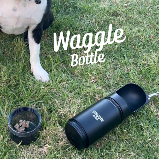Eco Friendly Stainless Steel Dog Water Bottle Mint Eco Friendly Stainless Steel Dog Water Bottle Mint