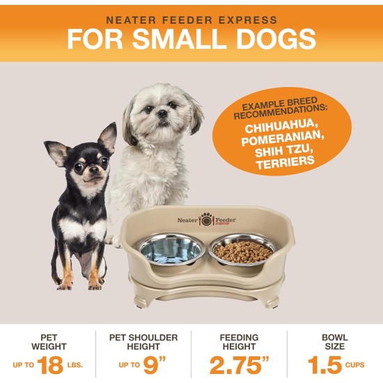 Express - Raised Dog Bowls - Stainless Steel Feeding Station for Small Dogs (Small Dog, Almond) Express - Raised Dog Bowls - Stainless Steel Feeding Station for Small Dogs (Small Dog, Almond)