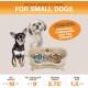 Express - Raised Dog Bowls - Stainless Steel Feeding Station for Small Dogs (Small Dog, Almond)