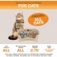 Express - Raised Dog Bowls - Stainless Steel Feeding Station for Small Dogs (Small Dog, Almond)