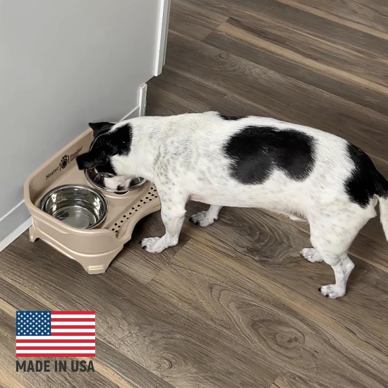 Express - Raised Dog Bowls - Stainless Steel Feeding Station for Small Dogs (Small Dog, Almond) Express - Raised Dog Bowls - Stainless Steel Feeding Station for Small Dogs (Small Dog, Almond)