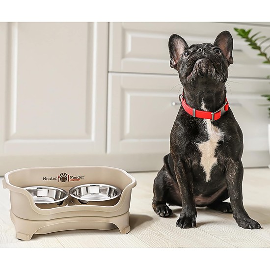 Express - Raised Dog Bowls - Stainless Steel Feeding Station for Small Dogs (Small Dog, Almond) Express - Raised Dog Bowls - Stainless Steel Feeding Station for Small Dogs (Small Dog, Almond)