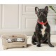Express - Raised Dog Bowls - Stainless Steel Feeding Station for Small Dogs (Small Dog, Almond)