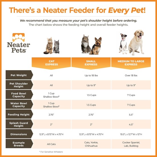 Express - Raised Dog Bowls - Stainless Steel Feeding Station for Small Dogs (Small Dog, Almond) Express - Raised Dog Bowls - Stainless Steel Feeding Station for Small Dogs (Small Dog, Almond)