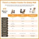 Express - Raised Dog Bowls - Stainless Steel Feeding Station for Small Dogs (Small Dog, Almond)