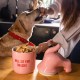 FISURA - Original Will Sit Pet Food Container Pet Treat Container Ceramic Food Storage Container 12x20cm (Pink)