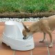 Ferplast 71300011 Cat and dog drinking fountain VEGA, contents: 2 liters, dimensions: 23 x 29.5 x 16 cm Ferplast 71300011 Cat and dog drinking fountain VEGA, contents: 2 liters, dimensions: 23 x 29.5 x 16 cm