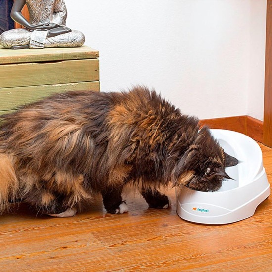 Ferplast 71300011 Cat and dog drinking fountain VEGA, contents: 2 liters, dimensions: 23 x 29.5 x 16 cm Ferplast 71300011 Cat and dog drinking fountain VEGA, contents: 2 liters, dimensions: 23 x 29.5 x 16 cm