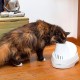 Ferplast 71300011 Cat and dog drinking fountain VEGA, contents: 2 liters, dimensions: 23 x 29.5 x 16 cm Ferplast 71300011 Cat and dog drinking fountain VEGA, contents: 2 liters, dimensions: 23 x 29.5 x 16 cm