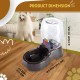 Flexzion Pet Water Dispenser Station, Beige (1/4 Gallon), Automatic Gravity Watering Refill, Drinking Fountain, Bottle, Bowl, Bowl, Portable Stand for Small Dogs Flexzion Pet Water Dispenser Station, Beige (1/4 Gallon), Automatic Gravity Watering Refill, Drinking Fountain, Bottle, Bowl, Bowl, Portable Stand for Small Dogs