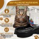 Flexzion Pet Water Dispenser Station, Beige (3/8 Gallon), Automatic Gravity Watering Refill, Drinking Fountain, Bottle, Bowl, Bowl, Portable Stand for Small Dogs Flexzion Pet Water Dispenser Station, Beige (3/8 Gallon), Automatic Gravity Watering Refill, Drinking Fountain, Bottle, Bowl, Bowl, Portable Stand for Small Dogs