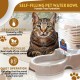 Flexzion Pet Water Dispenser Station, Beige (3/8 Gallon), Automatic Gravity Watering Refill, Drinking Fountain, Bottle, Bowl, Bowl, Portable Stand for Small Dogs Flexzion Pet Water Dispenser Station, Beige (3/8 Gallon), Automatic Gravity Watering Refill, Drinking Fountain, Bottle, Bowl, Bowl, Portable Stand for Small Dogs