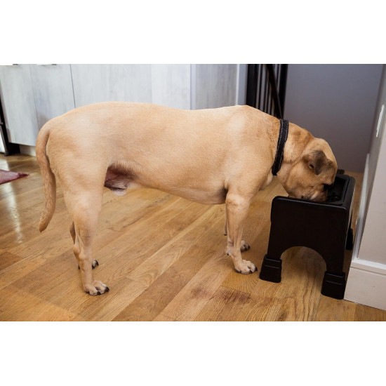 Fluff Trough XL Set Elevated Dog Bowl for Healthy Posture and Digestion, Minimises Neck Strain, Ideal for Flat Pets, Veterinarians Recommended, Dishwasher Safe (Black) Fluff Trough XL Set Elevated Dog Bowl for Healthy Posture and Digestion, Minimises Neck Strain, Ideal for Flat Pets, Veterinarians Recommended, Dishwasher Safe (Black)