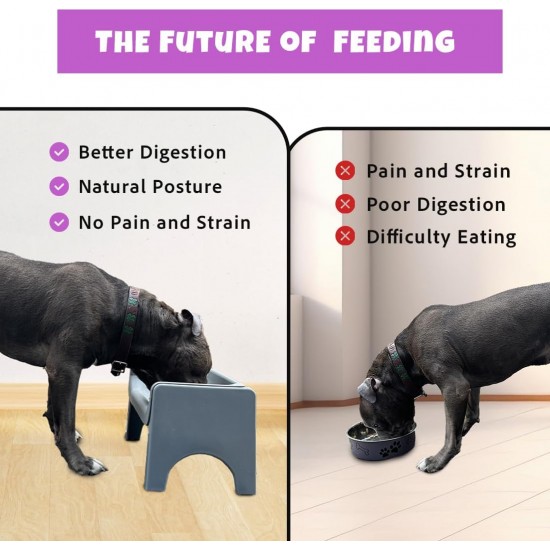 Fluff Trough XL Set Elevated Dog Bowl for Healthy Posture and Digestion, Minimises Neck Strain, Ideal for Flat Pets, Veterinarians Recommended, Dishwasher Safe (Black) Fluff Trough XL Set Elevated Dog Bowl for Healthy Posture and Digestion, Minimises Neck Strain, Ideal for Flat Pets, Veterinarians Recommended, Dishwasher Safe (Black)