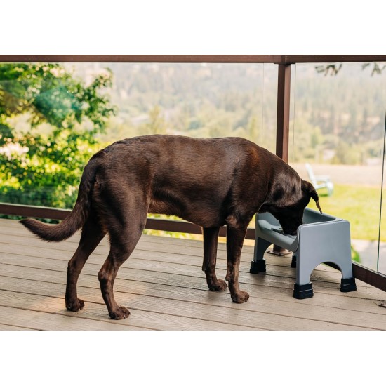 Fluff Trough XL Set Elevated Dog Bowl for Healthy Posture and Digestion, Minimises Neck Strain, Ideal for Flat Pets, Veterinarians Recommended, Dishwasher Safe (Black) Fluff Trough XL Set Elevated Dog Bowl for Healthy Posture and Digestion, Minimises Neck Strain, Ideal for Flat Pets, Veterinarians Recommended, Dishwasher Safe (Black)