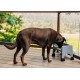 Fluff Trough XL Set Elevated Dog Bowl for Healthy Posture and Digestion, Minimises Neck Strain, Ideal for Flat Pets, Veterinarians Recommended, Dishwasher Safe (Black) Fluff Trough XL Set Elevated Dog Bowl for Healthy Posture and Digestion, Minimises Neck Strain, Ideal for Flat Pets, Veterinarians Recommended, Dishwasher Safe (Black)