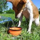 Foldable silicone dog bowl in blue (BPA-free), travel bowl for dogs and cats with carabiner - 350 ml Foldable silicone dog bowl in blue (BPA-free), travel bowl for dogs and cats with carabiner - 350 ml