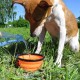 Foldable silicone dog bowl in blue (BPA-free), travel bowl for dogs and cats with carabiner - 350 ml Foldable silicone dog bowl in blue (BPA-free), travel bowl for dogs and cats with carabiner - 350 ml