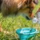 FouFou Dog 60212 Collapsible Bowls Dog and Cat Bowl S Pink FouFou Dog 60212 Collapsible Bowls Dog and Cat Bowl S Pink