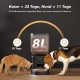 Futterautomat Katze, 8L Katzenfutter Automat, Futterspender für Katzen/Hunde, mit 304 Edelstahl-Schüssel und LCD-Display, Feeder 1-6 Mahlzeiten pro Tag, Bis zu 1-50 Portionen, Einfache Bedienung