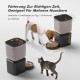 Futterautomat Katze, 8L Katzenfutter Automat, Futterspender für Katzen/Hunde, mit 304 Edelstahl-Schüssel und LCD-Display, Feeder 1-6 Mahlzeiten pro Tag, Bis zu 1-50 Portionen, Einfache Bedienung