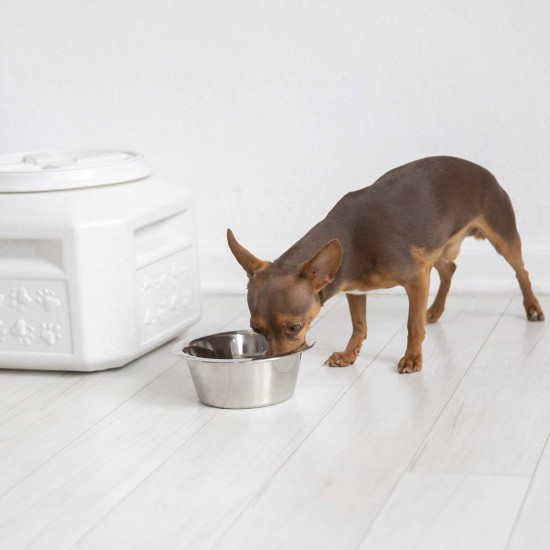 Gamma Vittles Vault Outback 25 lb Airtight Pet Food Storage Container Gamma Vittles Vault Outback 25 lb Airtight Pet Food Storage Container