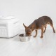Gamma Vittles Vault Outback 25 lb Airtight Pet Food Storage Container Gamma Vittles Vault Outback 25 lb Airtight Pet Food Storage Container