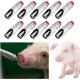 Gokelomg 10 Automatischer Nippel Wasser Aus Edelstahl Schwein, Automatische Wasser Düse, Trink Nippel Gokelomg 10 Automatischer Nippel Wasser Aus Edelstahl Schwein, Automatische Wasser Düse, Trink Nippel