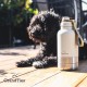 GrandTies Insulated Portable Dog Water Bottle with 2 Removable Dog Water Bowl Dispensers | Leak-proof Dog Food Travel Container | Dog Accessories for Dogs Walking, Hiking, Camping (1.8 Litre) GrandTies Insulated Portable Dog Water Bottle with 2 Removable Dog Water Bowl Dispensers | Leak-proof Dog Food Travel Container | Dog Accessories for Dogs Walking, Hiking, Camping (1.8 Litre)