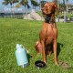 GrandTies Insulated Portable Dog Water Bottle with 2 Removable Dog Water Bowl Dispensers | Leak-proof Dog Food Travel Container | Dog Accessories for Dogs Walking, Hiking, Camping (1.8 Litre) GrandTies Insulated Portable Dog Water Bottle with 2 Removable Dog Water Bowl Dispensers | Leak-proof Dog Food Travel Container | Dog Accessories for Dogs Walking, Hiking, Camping (1.8 Litre)