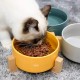 Green Ceramic Dog Bowl, Feeding Bowl for Dogs and Cats with Solid Wood Stand (Pack of 2) Green Ceramic Dog Bowl, Feeding Bowl for Dogs and Cats with Solid Wood Stand (Pack of 2)