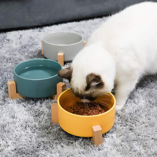 Green Ceramic Dog Bowl, Feeding Bowl for Dogs and Cats with Solid Wood Stand (Pack of 2) Green Ceramic Dog Bowl, Feeding Bowl for Dogs and Cats with Solid Wood Stand (Pack of 2)
