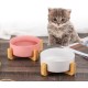 Green Ceramic Dog Bowl, Feeding Bowl for Dogs and Cats with Solid Wood Stand (Pack of 2) Green Ceramic Dog Bowl, Feeding Bowl for Dogs and Cats with Solid Wood Stand (Pack of 2)