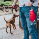 HUNTER Outdoor Drinking Bottle With Silicone Bowl List, 550 ml, Red, Pack of 2 HUNTER Outdoor Drinking Bottle With Silicone Bowl List, 550 ml, Red, Pack of 2