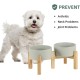 Havniva Adjustable Raised Double Ceramic Bowl Set with Stand, 2 Heights Elevated Food and Water Bowls for Small Breeds, Weighted Dog Bowl, Pet Bowl (15.5 cm, 813 ml, Grey) Havniva Adjustable Raised Double Ceramic Bowl Set with Stand, 2 Heights Elevated Food and Water Bowls for Small Breeds, Weighted Dog Bowl, Pet Bowl (15.5 cm, 813 ml, Grey)