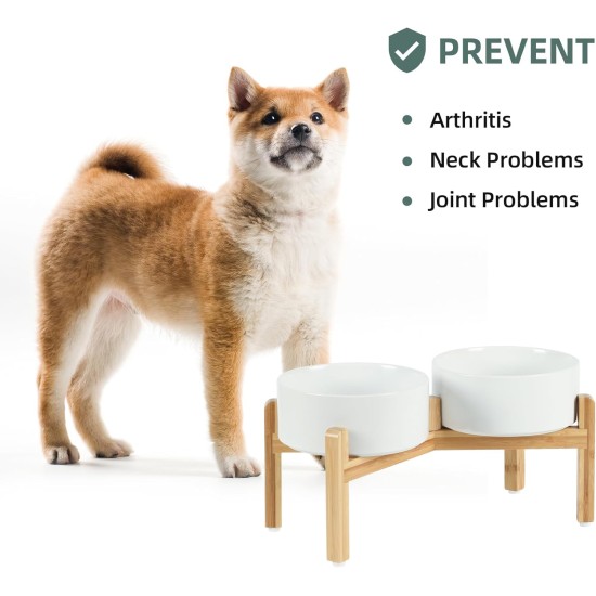 Havniva Adjustable Raised Double Ceramic Bowl Set with Stand, 2 Heights Elevated Food and Water Bowls for Small Breeds, Weighted Dog Bowl, Pet Bowl (15.5 cm, 813 ml, Grey) Havniva Adjustable Raised Double Ceramic Bowl Set with Stand, 2 Heights Elevated Food and Water Bowls for Small Breeds, Weighted Dog Bowl, Pet Bowl (15.5 cm, 813 ml, Grey)