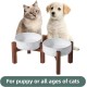 Havniva Ceramic 15.5 cm Raised Double Dog Bowls Set with Acacia Wood Stand, 2 Heights Increased, Food & Water Bowls for Small Dogs (800 ml, Arctic White) Havniva Ceramic 15.5 cm Raised Double Dog Bowls Set with Acacia Wood Stand, 2 Heights Increased, Food & Water Bowls for Small Dogs (800 ml, Arctic White)