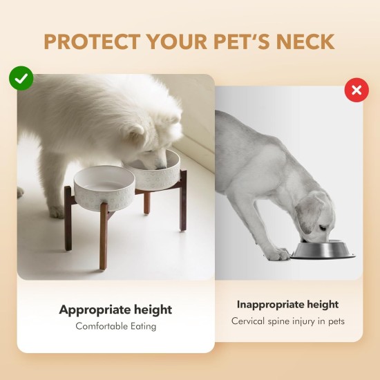Havniva Ceramic 15.5 cm Raised Double Dog Bowls Set with Acacia Wood Stand, 2 Heights Increased, Food & Water Bowls for Small Dogs (800 ml, Arctic White) Havniva Ceramic 15.5 cm Raised Double Dog Bowls Set with Acacia Wood Stand, 2 Heights Increased, Food & Water Bowls for Small Dogs (800 ml, Arctic White)