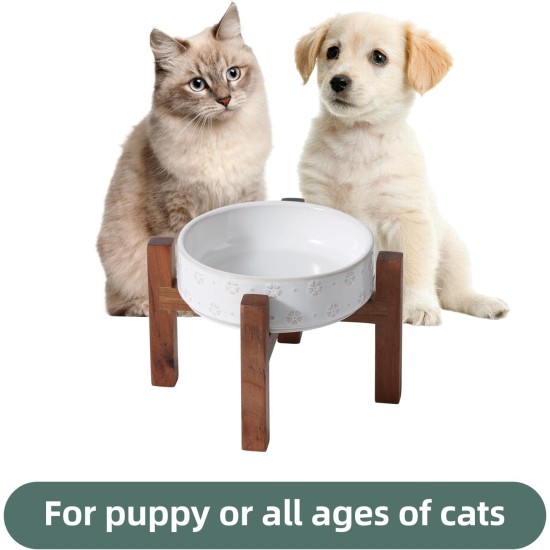 Havniva Ceramic 18.5 cm Raised Double Dog Bowls Set with Acacia Wood Stand, Food & Water Bowls for Medium Breeds Dogs, Weighted Pet Dishes (1300 ml, Arctic White) Havniva Ceramic 18.5 cm Raised Double Dog Bowls Set with Acacia Wood Stand, Food & Water Bowls for Medium Breeds Dogs, Weighted Pet Dishes (1300 ml, Arctic White)