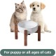 Havniva Ceramic 18.5 cm Raised Double Dog Bowls Set with Acacia Wood Stand, Food & Water Bowls for Medium Breeds Dogs, Weighted Pet Dishes (1300 ml, Arctic White) Havniva Ceramic 18.5 cm Raised Double Dog Bowls Set with Acacia Wood Stand, Food & Water Bowls for Medium Breeds Dogs, Weighted Pet Dishes (1300 ml, Arctic White)