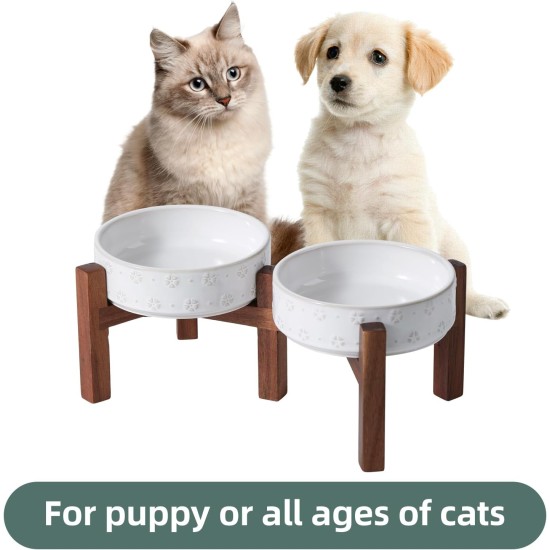 Havniva Ceramic 18.5 cm Raised Double Dog Bowls Set with Acacia Wood Stand, Food & Water Bowls for Medium Breeds Dogs, Weighted Pet Dishes (1300 ml, Arctic White) Havniva Ceramic 18.5 cm Raised Double Dog Bowls Set with Acacia Wood Stand, Food & Water Bowls for Medium Breeds Dogs, Weighted Pet Dishes (1300 ml, Arctic White)