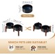 Havniva Ceramic 18.5 cm Raised Double Dog Bowls Set with Acacia Wood Stand, Food & Water Bowls for Medium Breeds Dogs, Weighted Pet Dishes (1300 ml, Arctic White) Havniva Ceramic 18.5 cm Raised Double Dog Bowls Set with Acacia Wood Stand, Food & Water Bowls for Medium Breeds Dogs, Weighted Pet Dishes (1300 ml, Arctic White)