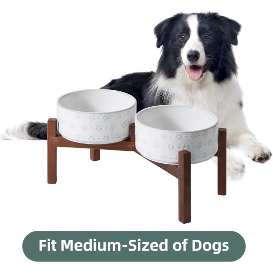 Havniva Ceramic 18.5 cm Raised Double Dog Bowls Set with Acacia Wood Stand, Food & Water Bowls for Medium Breeds Dogs, Weighted Pet Dishes (1300 ml, Arctic White) Havniva Ceramic 18.5 cm Raised Double Dog Bowls Set with Acacia Wood Stand, Food & Water Bowls for Medium Breeds Dogs, Weighted Pet Dishes (1300 ml, Arctic White)