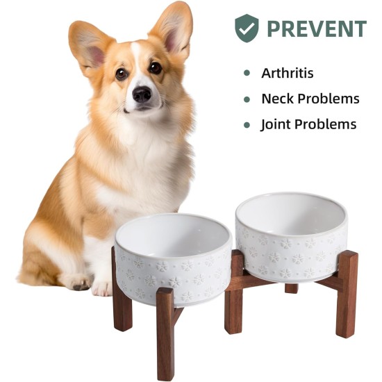 Havniva Ceramic 18.5 cm Raised Double Dog Bowls Set with Acacia Wood Stand, Food & Water Bowls for Medium Breeds Dogs, Weighted Pet Dishes (1300 ml, Arctic White) Havniva Ceramic 18.5 cm Raised Double Dog Bowls Set with Acacia Wood Stand, Food & Water Bowls for Medium Breeds Dogs, Weighted Pet Dishes (1300 ml, Arctic White)